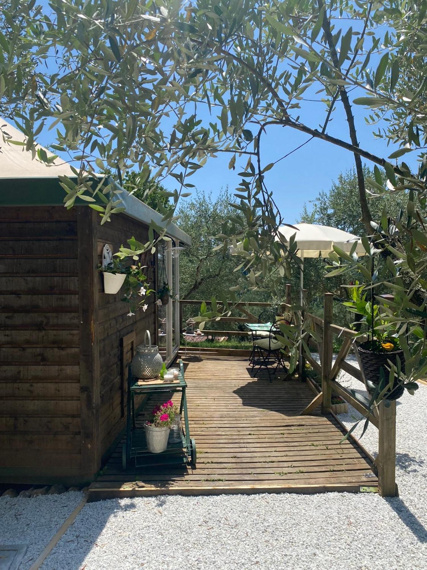 Sotto Il Cielo Di Toscana Appartamenti In Tenuta Only Adults No Pet Camaiore Exterior foto
